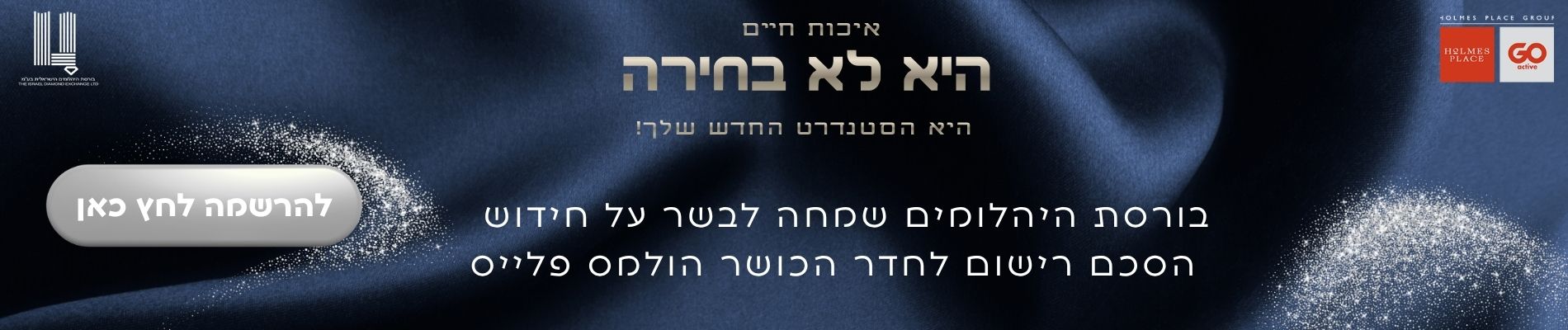 חדר כושר הולמס פלייס