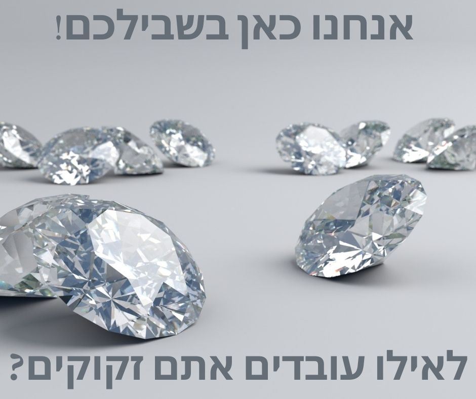 מיזם חדש של בורסת היהלומים הישראלית בשיתוף משרד הכלכלה והתעשייה זרוע העבודה יוצא לדרך
