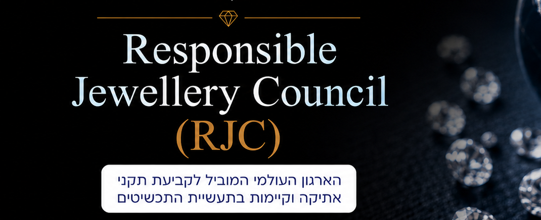 הרצאה מקצועית RJC 